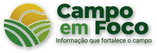 Campo em Foco